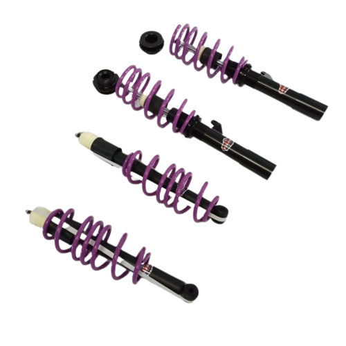 Honda Civic Purple Line Coilovers